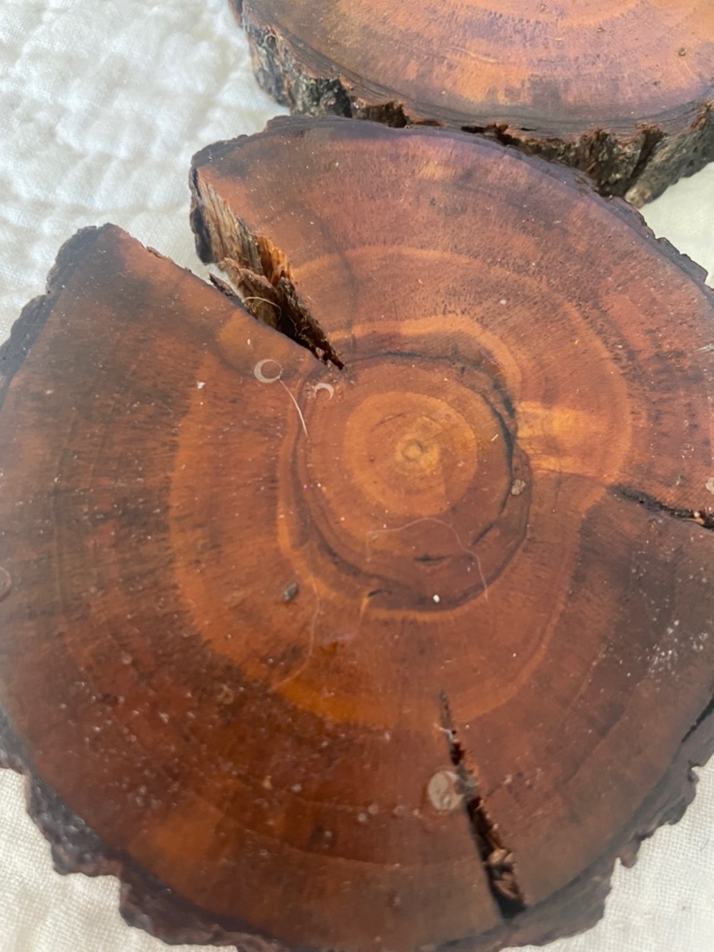 Handcrafted Natural Wood Slice Coasters - Set of 4 super nice - Picture 3 of 3